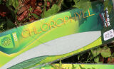 Wkłądki do butów - TARRAGO Insoles Daily Chlorophyll Cut 34/46